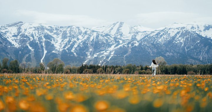 primavera tradicion china