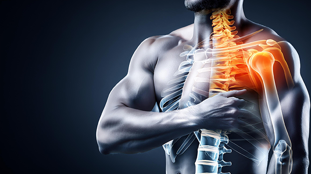 La exploración de la salud más allá de huesos, tendones y músculos.